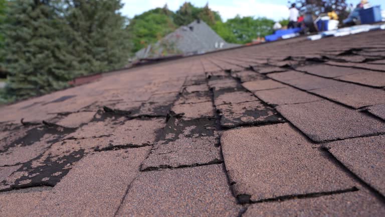 Best Flat Roofing  in Swartz Creek, MI