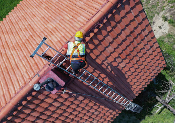 Best Solar Panel Roofing Installation  in Swartz Creek, MI