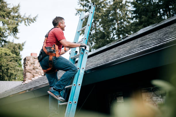 Best Sheet Metal Roofing  in Swartz Creek, MI